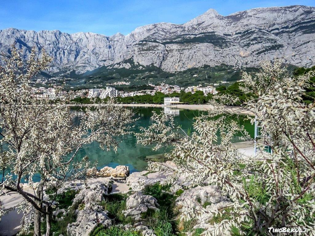Luxury Apartments Nadalina Sea View Makarska Exterior photo